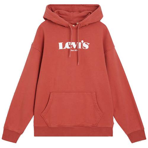 Levi'S Relaxed Graphic Hoodie 384790064