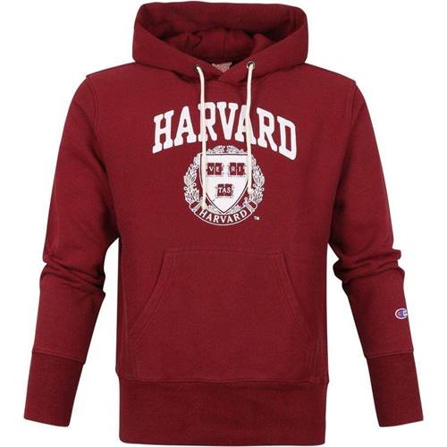 Sweatshirt Champion College Print Reverse Weave Hoodie