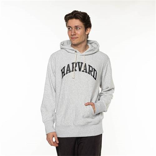 Sweatshirt Champion Harvard