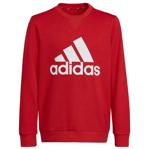 Sweatshirt Adidas Big Logo