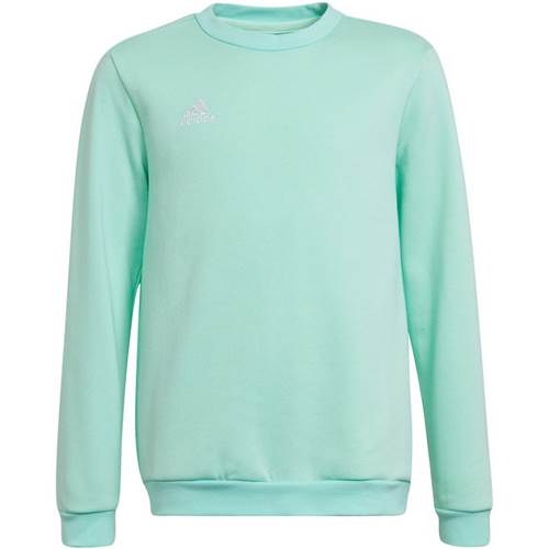 Sweatshirt Adidas Entrada 22 Sweat Top