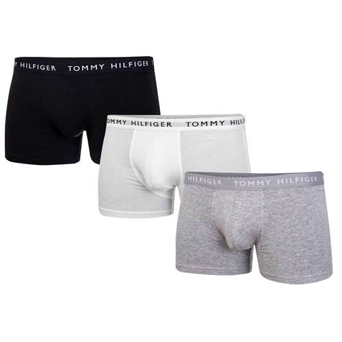 Briefs and knickers Tommy Hilfiger 3PACK