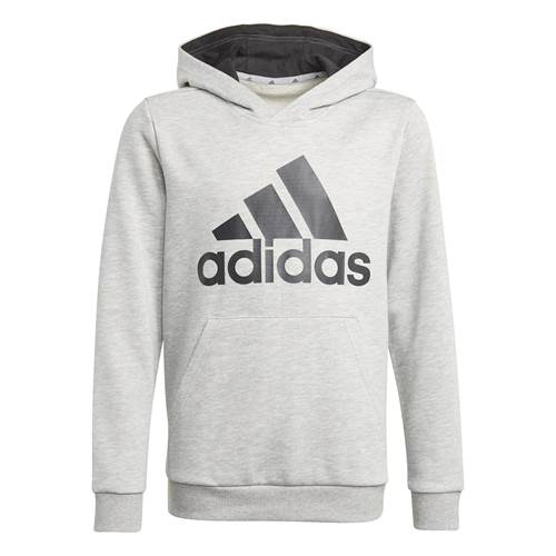Sweatshirt Adidas Big Logo HD