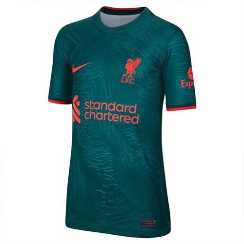 T-Shirt Nike Liverpool FC 202223 Stadium Away JR