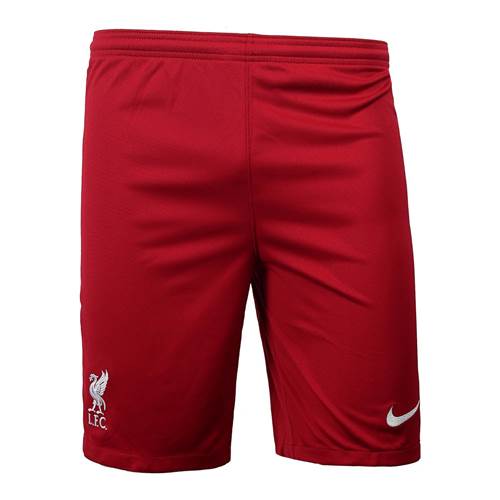 Trousers Nike Liverpool FC 2021 Breathe Home Stadium JR