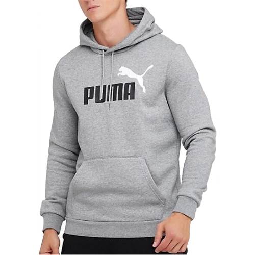 Sweatshirt Puma Ess 2 Col Big Logo Hoodie