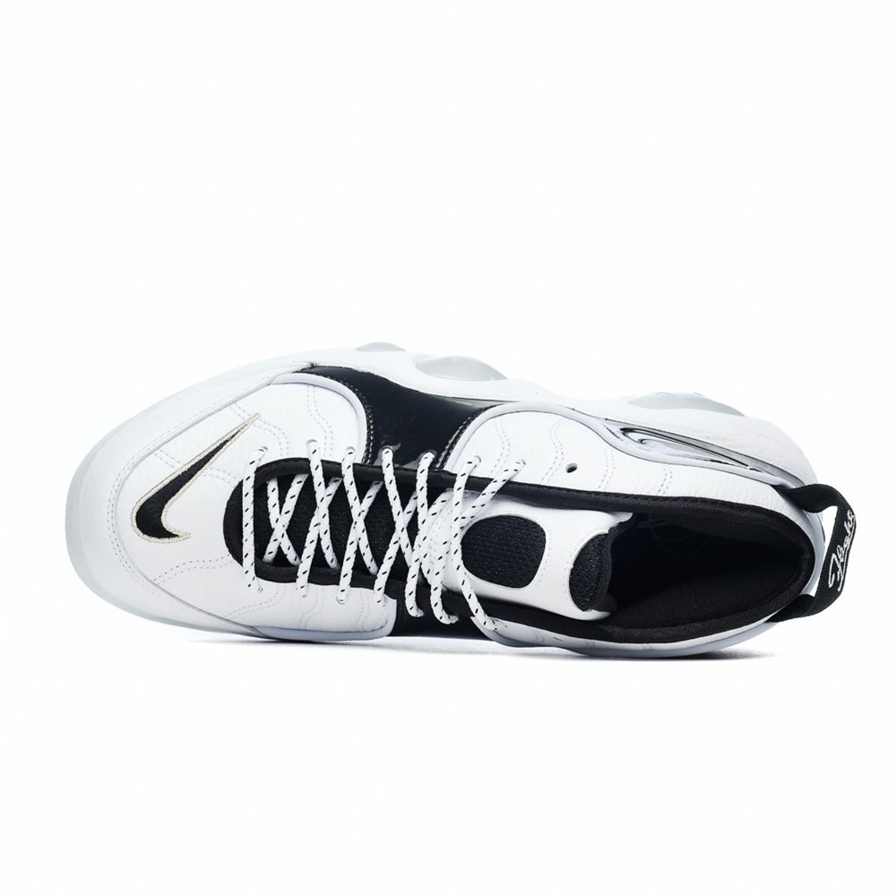 Shoes Nike Air Zoom Flight 95 () • price 174 EUR • (DV0820100