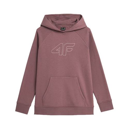 Sweatshirt 4F F0765 W 60s